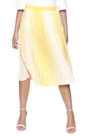  Yellow Striped Skirt