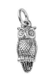  Owl Charm