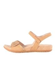 Dansko Blythe Slingback