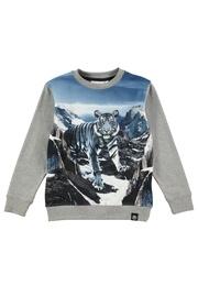  Blue Mountains Sweatshirt
