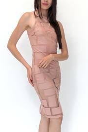  Lined Mesh Dress