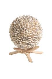  Shell On Stand
