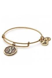  Alex And Ani Initial N Bracelet