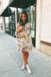  Dani Swing Dress