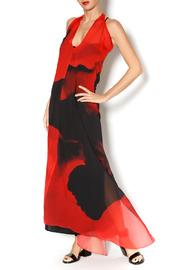  Floral Print Mali Maxi Dress