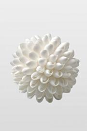  6 Shell Ball