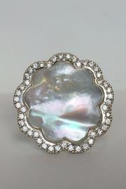  Oval Chain Ring