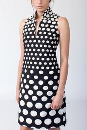  Dots Collar Dress