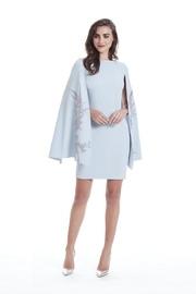 Embroidered Winged-sleeve Dress