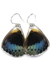  Archduke Butterfly Earrings