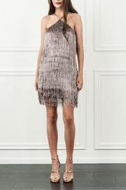 Metallic Fringe Dress