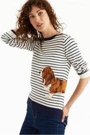  Basset Hound Sweater