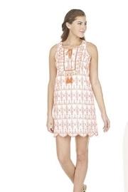  Ruffle Embroidered Dress