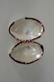  Ceramic Double Shell