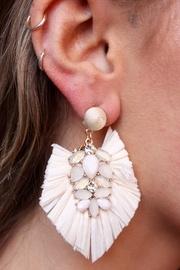  Tassel Drop Earring