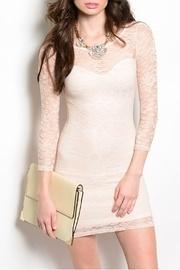  Pink Sheer Dress