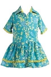  Blue Birds Shirtwaist Dress