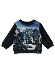  Blue Mountains Top