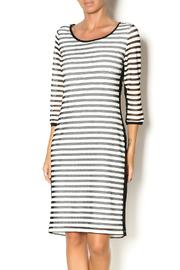  Stripe Netted Dress