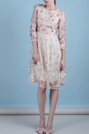  Organza Pink Dress