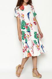 Tropical Parrot Dress