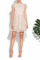  Fit & Flare Lace Dress
