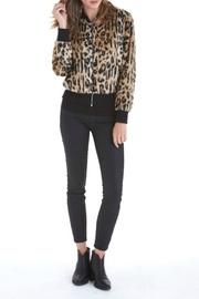  Isabella Cheetah Bomber