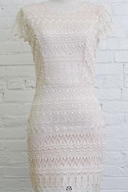  Novelty Lace Dress