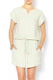  Mint Print Dress