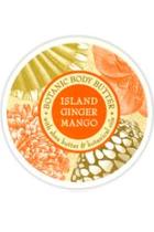  Island-ginger-mango Body Butter