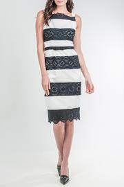  Lace Stripe Dress