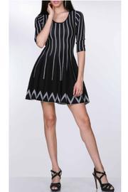  Fitted Swing Dress