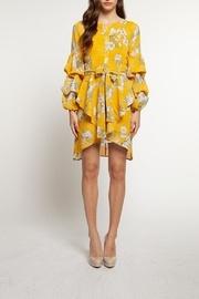  Bouffant Sleeve Dress