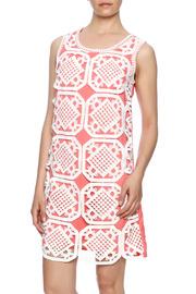  Overlay Shift Dress