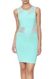  Mesh Contrast Dress