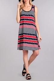  Stars-and-stripes Dress