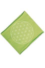 Connected Eco Headband