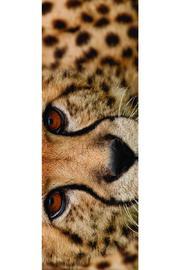  Cheetah Scarf
