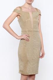  Luxe Lady Dress