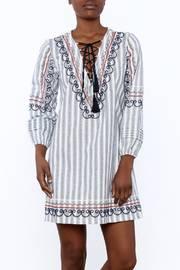  Embroidered Stripe Dress