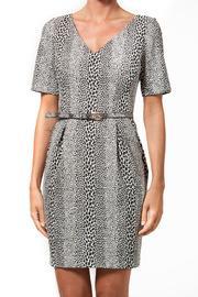 Ivy + Blu Animal Print Dress