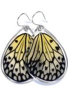 Paperwhite Butterfly Earrings