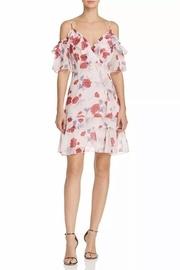  Darling Poppy Dress