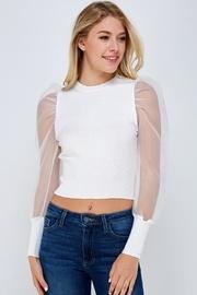 Organza Sleeve Sweater