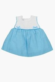  Gingham Aquamarine Dress
