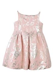  Silver & Pink Dress