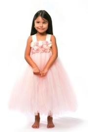  Blush Tutu Dress