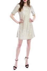 Metallic Amy Dress
