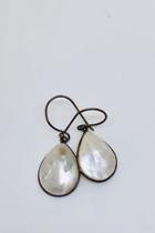  Large Shell Briolettes