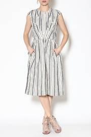  Ticking Tess Dress
